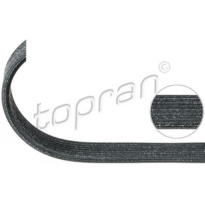 Photo V-Ribbed Belts TOPRAN 100124