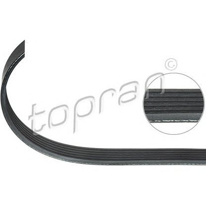 Photo V-Ribbed Belts TOPRAN 207889