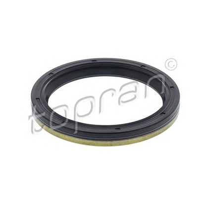 Photo Shaft Seal, differential TOPRAN 111039