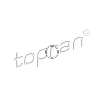 Фото Уплотнительное кольцо, клапанная форсунка TOPRAN 100677