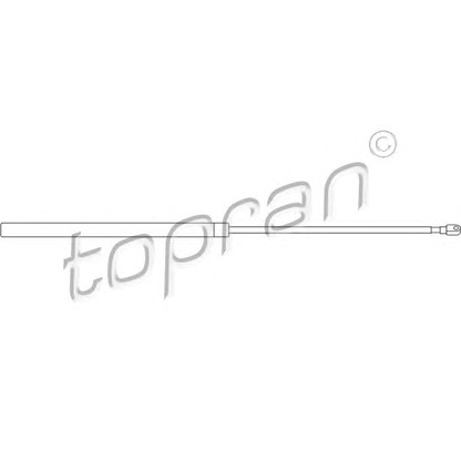 Foto Ammortizzatore pneumatico, Cofano motore TOPRAN 400661