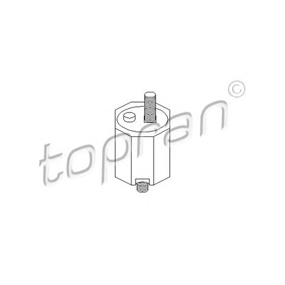 Photo Mounting, automatic transmission TOPRAN 500167
