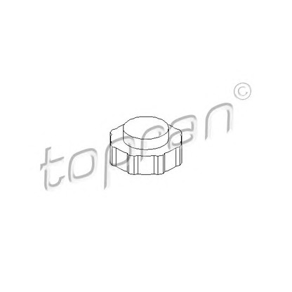 Foto Tapón, depósito de refrigerante TOPRAN 700431