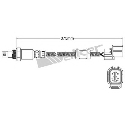 Фото Лямбда-зонд WALKER PRODUCTS 25054046