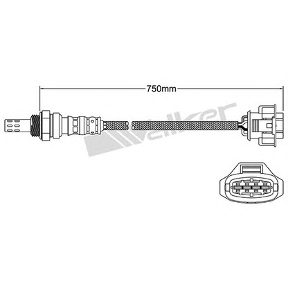 Photo Lambda Sensor WALKER PRODUCTS 25024733