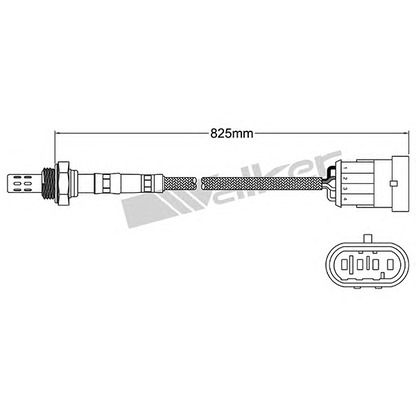 Zdjęcie Sonda lambda WALKER PRODUCTS 250241019