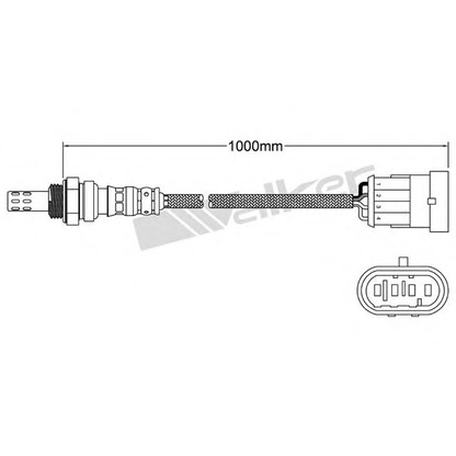 Фото Лямбда-зонд WALKER PRODUCTS 250241095