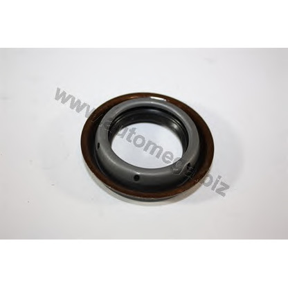 Photo Shaft Seal, differential AUTOMEGA 1003740528