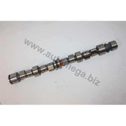 Photo Camshaft Kit AUTOMEGA 1006360041