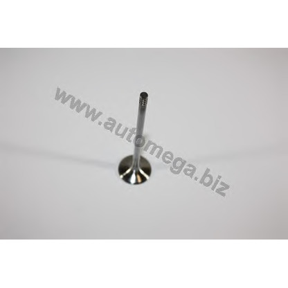 Photo Exhaust Valve AUTOMEGA 1006410388