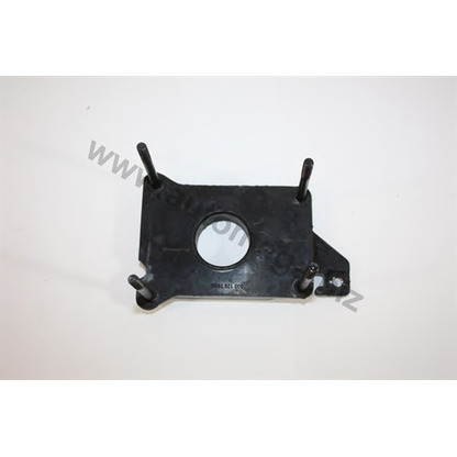 Photo Flange, central injection AUTOMEGA 101290765030G