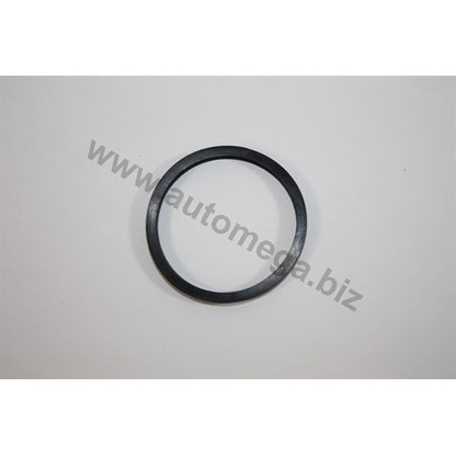 Photo Gasket, thermostat AUTOMEGA 1013380214