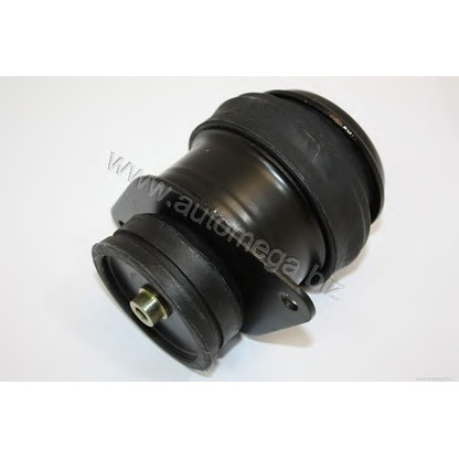 Photo Engine Mounting AUTOMEGA 101990262357A