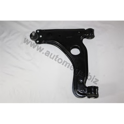 Photo Track Control Arm AUTOMEGA 1053520016