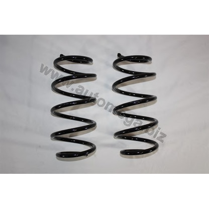 Photo Coil Spring AUTOMEGA 3003120158