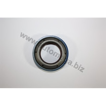 Photo Shaft Seal, differential AUTOMEGA 3003740528