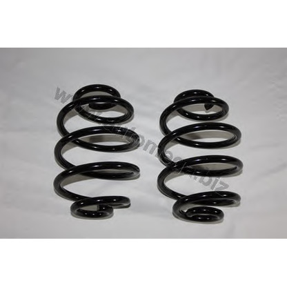 Photo Coil Spring AUTOMEGA 3004240394