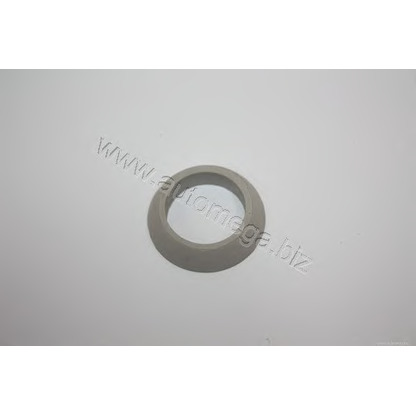 Photo O-Ring, push rod tube AUTOMEGA 301090345113A