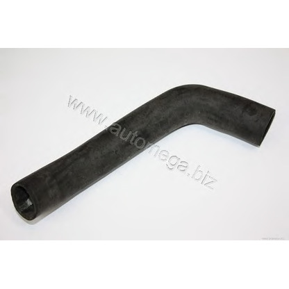 Photo Radiator Hose AUTOMEGA 301210051191E