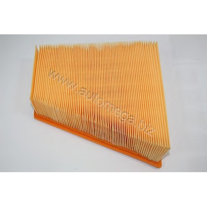 Photo Air Filter AUTOMEGA 3012906206Q0