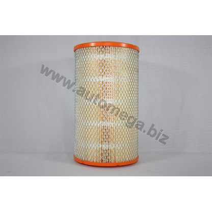 Photo Air Filter AUTOMEGA 3014440TY