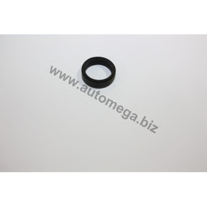 Photo Seal Ring, nozzle holder AUTOMEGA 1008210093