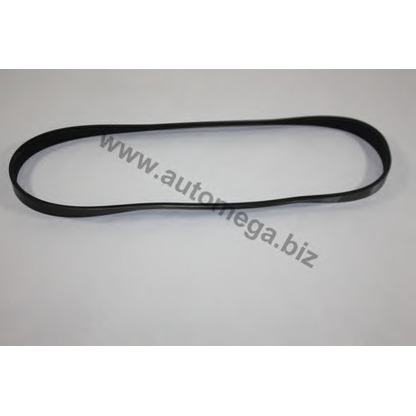 Photo V-Ribbed Belts AUTOMEGA 30100390800