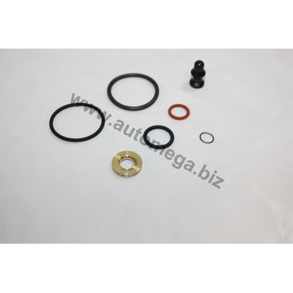 Photo Repair Kit, pump-nozzle unit AUTOMEGA 301980051038C