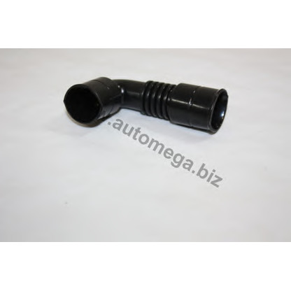 Photo Hose, cylinder head cover breather AUTOMEGA 301030493038H