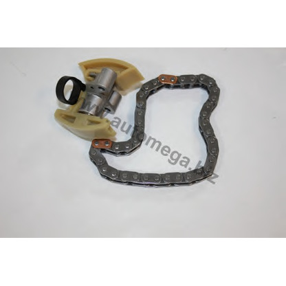 Photo Timing Chain Kit AUTOMEGA 3008160J1