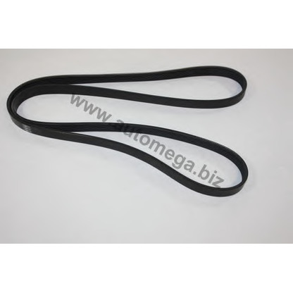 Photo V-Ribbed Belts AUTOMEGA 30100360917