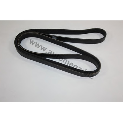 Photo V-Ribbed Belts AUTOMEGA 30101120954