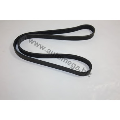Photo V-Ribbed Belts AUTOMEGA 3063400615
