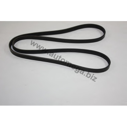 Photo V-Ribbed Belts AUTOMEGA 3063400660