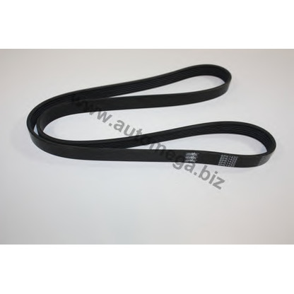 Photo V-Ribbed Belts AUTOMEGA 30101330958