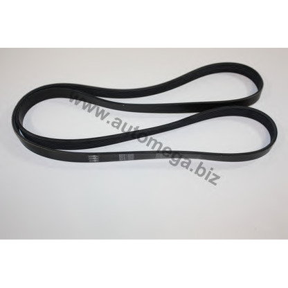 Photo V-Ribbed Belts AUTOMEGA 30103200289