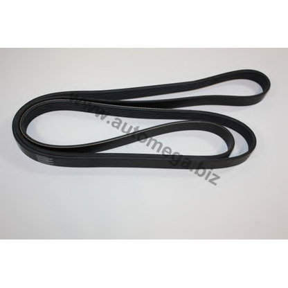 Photo V-Ribbed Belts AUTOMEGA 30103760084