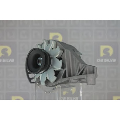 Photo Alternator DA SILVA 016446