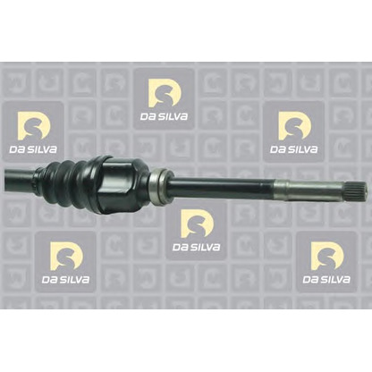 Photo Drive Shaft DA SILVA 1236T