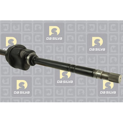 Photo Drive Shaft DA SILVA 161T