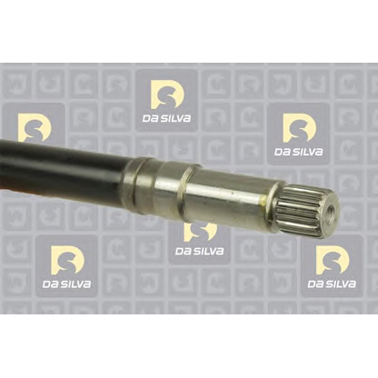 Photo Drive Shaft DA SILVA 178T