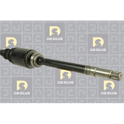 Photo Drive Shaft DA SILVA 178T