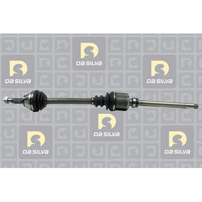 Photo Drive Shaft DA SILVA C304