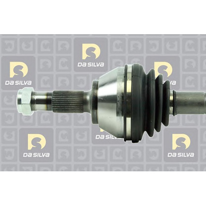 Photo Drive Shaft DA SILVA C304