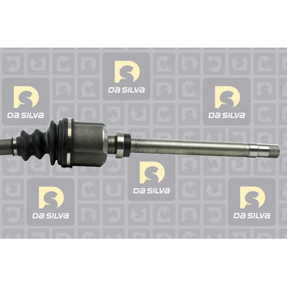 Photo Drive Shaft DA SILVA C304