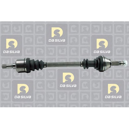 Photo Drive Shaft DA SILVA C313