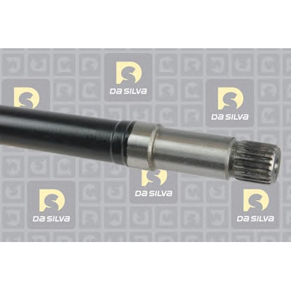 Photo Drive Shaft DA SILVA 342BT