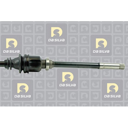 Photo Drive Shaft DA SILVA JC350