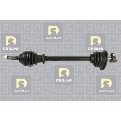 Photo Drive Shaft DA SILVA 497T