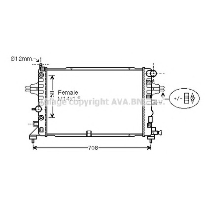 Photo Radiateur, refroidissement du moteur PRASCO OL2625